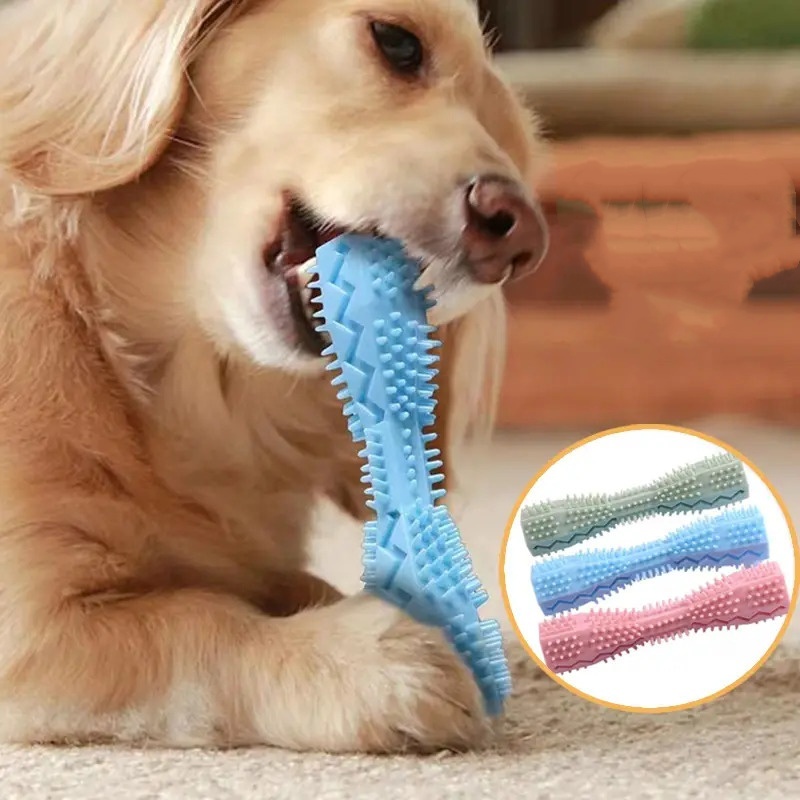 Indestructible Dog Chew Toy - Brosse à dents pour chien, jouet