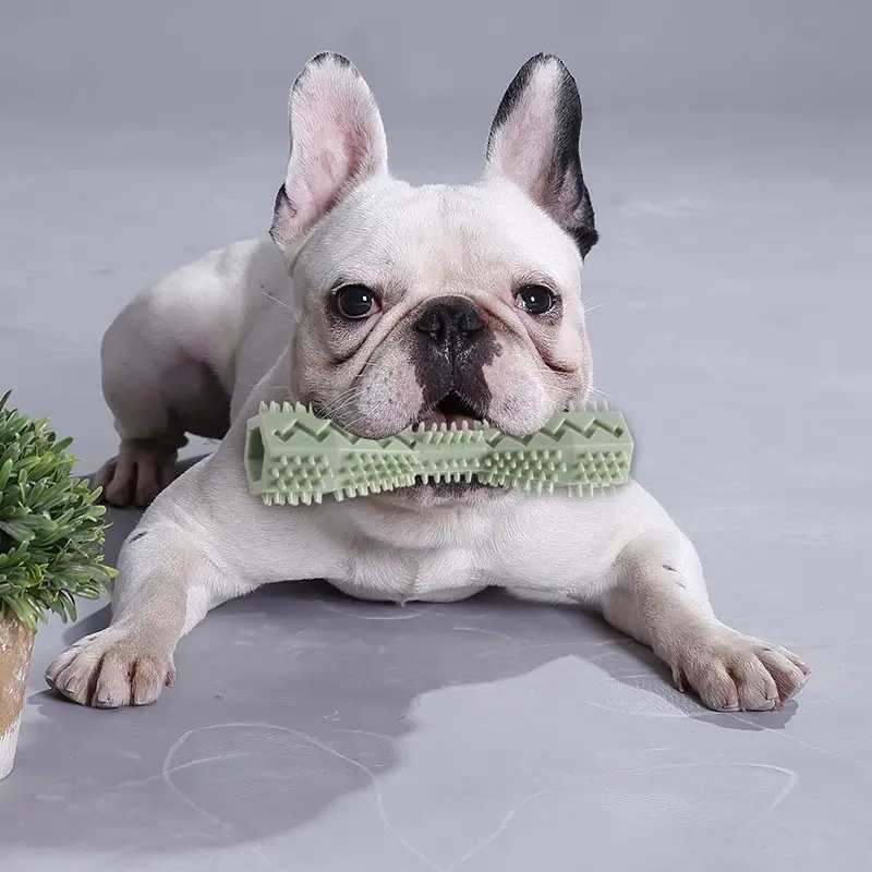 Brosse à dents pour chien, jou - Indestructible Dog Chew Toy avis et prix