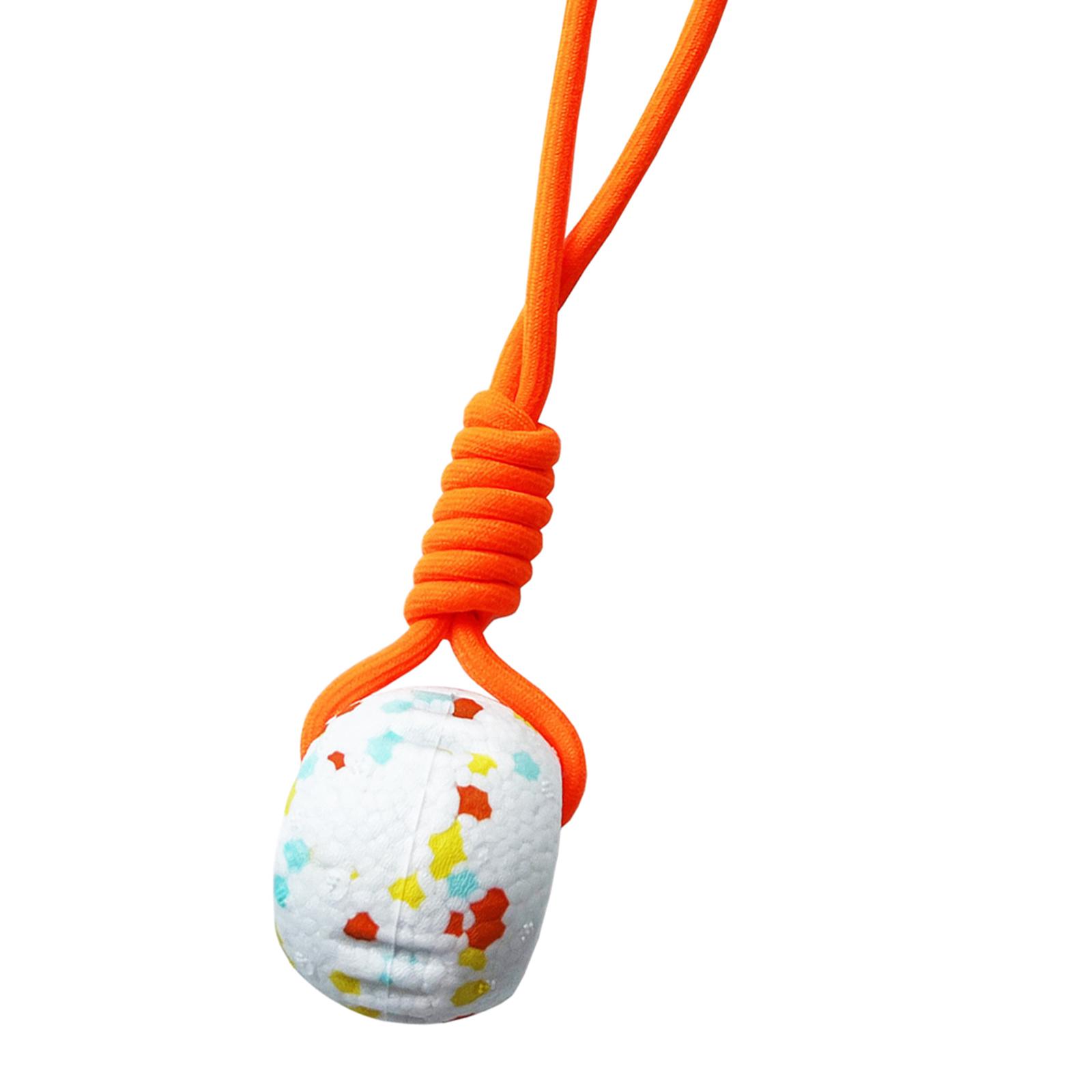 Jouet de balle pour chien en c - Dog Rope Toy Aggressive Chewers avis et prix