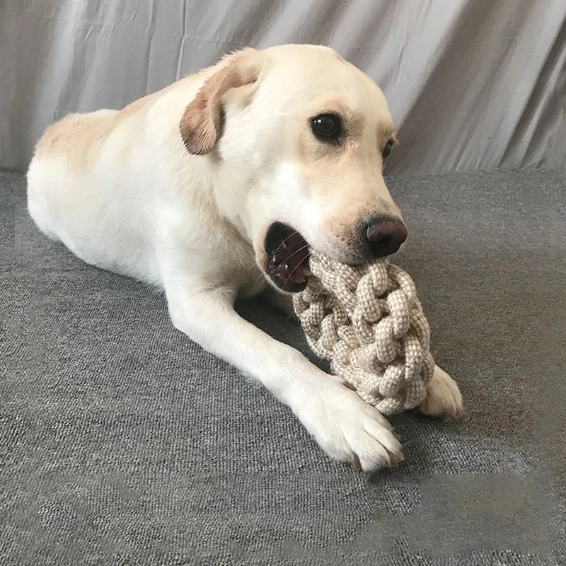Jouet à nœuds pour chat et chi - Indestructible Dog Chew Toy avis et prix