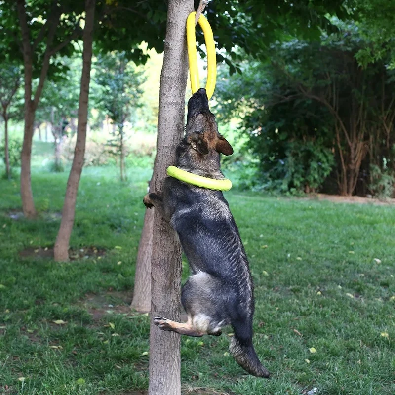 /05/2019 volants OligDog pour  - Indestructible Dog Chew Toy avis et prix