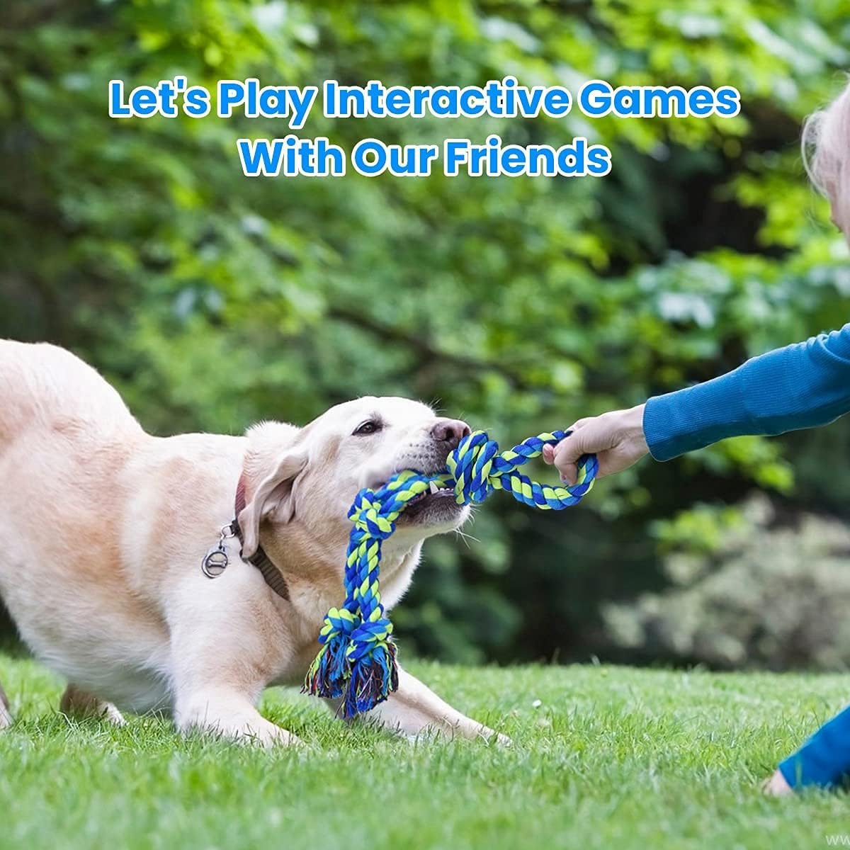 Jouets pour chiens en corde ré - Dog Rope Toy Aggressive Chewers avis et prix