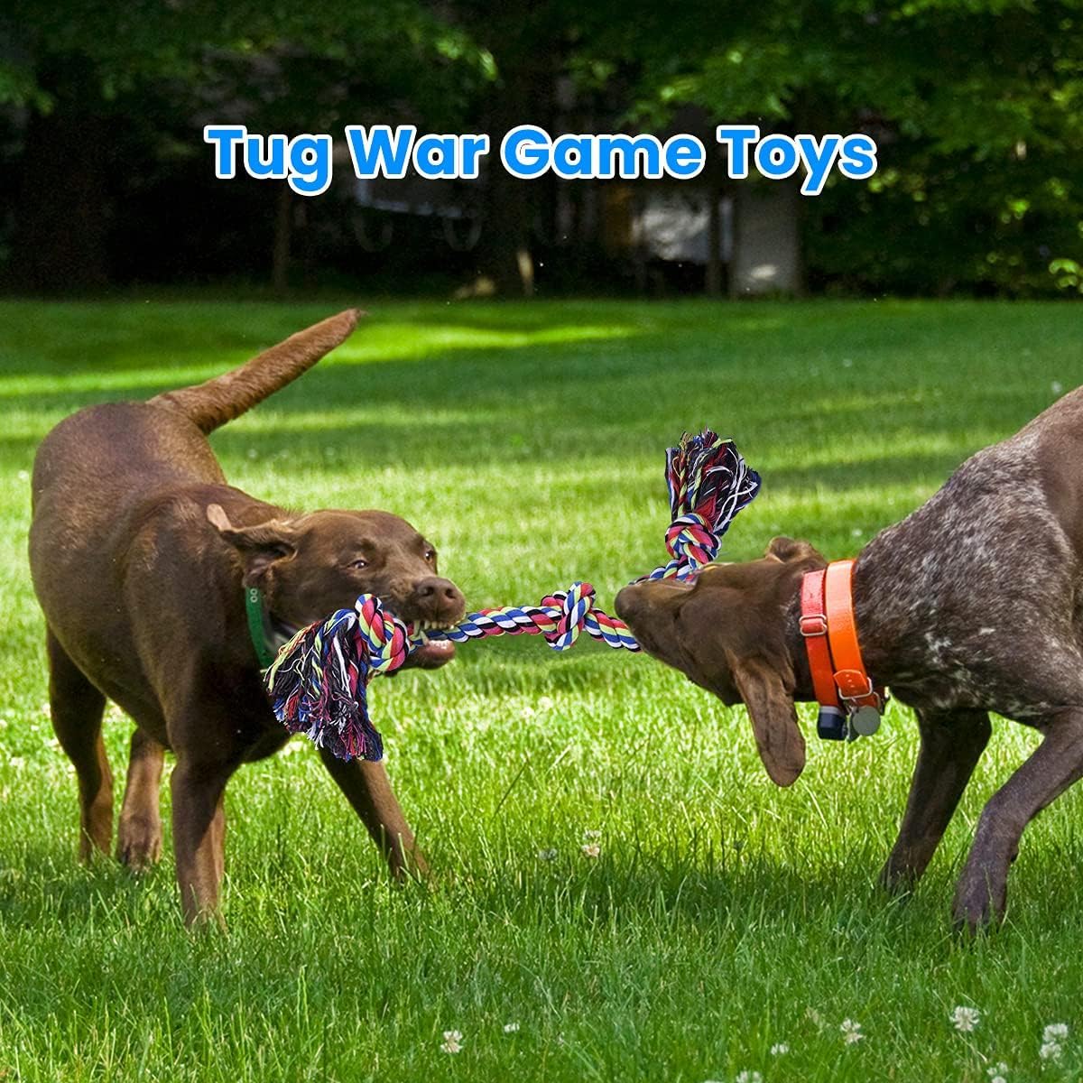 Jouets pour chiens en corde ré - Dog Rope Toy Aggressive Chewers avis et prix