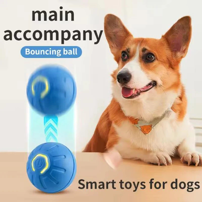 Balle de jeu interactive intel - Automatic Moving Dog Ball avis et prix